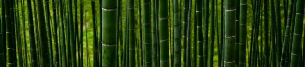 bamboe donsdeken
