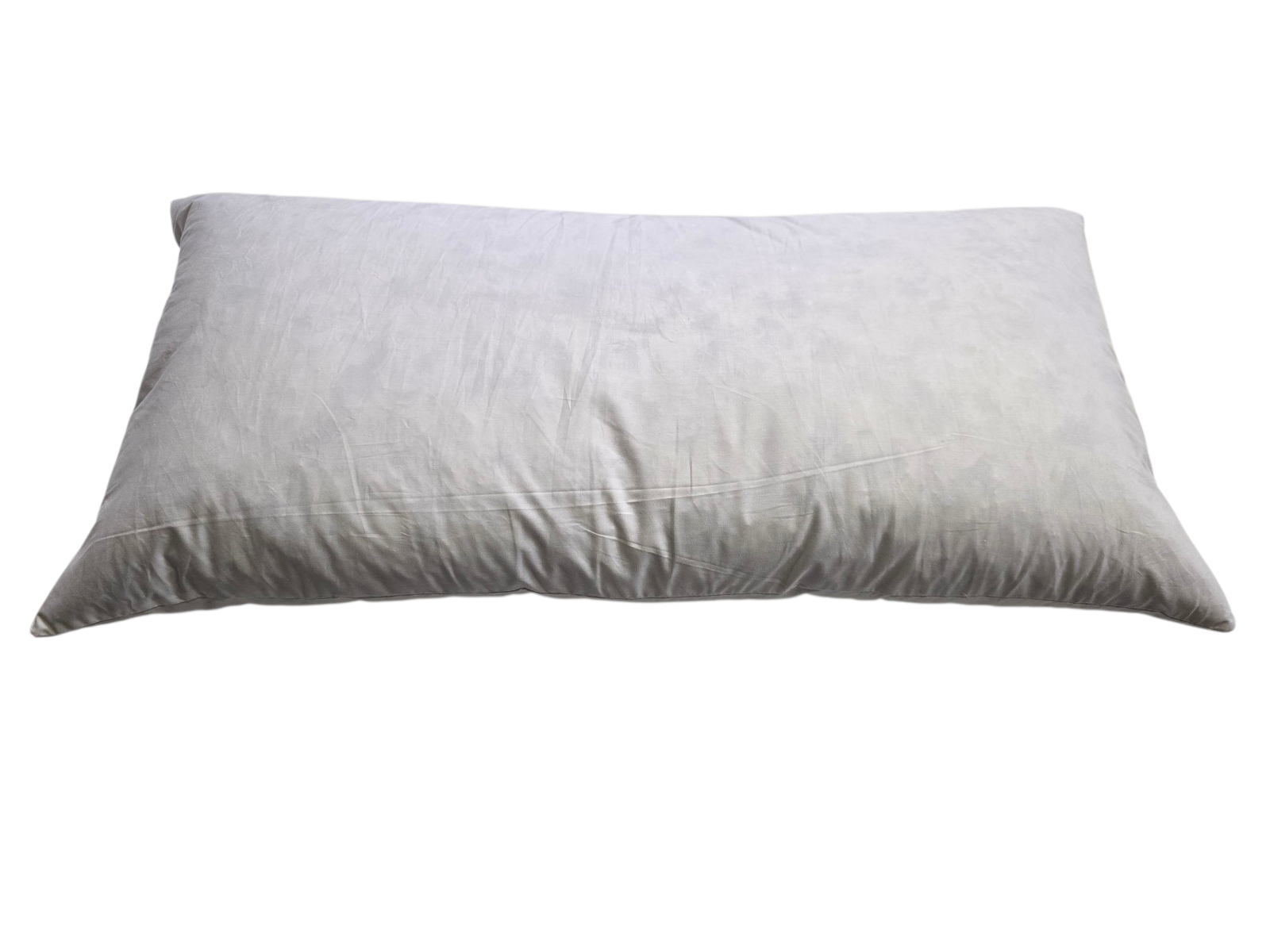 Homescapes Hoofdkussen 40 x 80 cm met vulling van schapenwol en polyester, middelzacht wollen kussen met gewatteerde katoenen overtrek